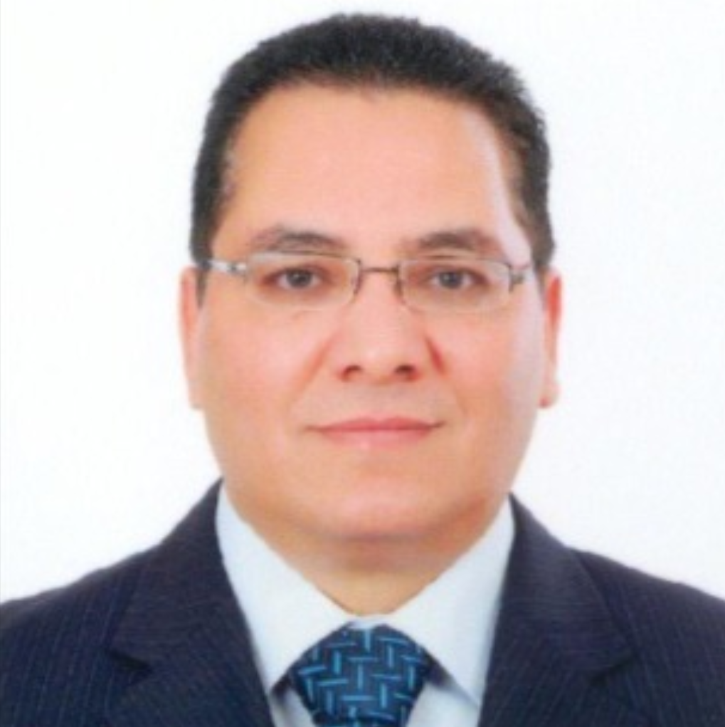 د. محسن محمد مرسي